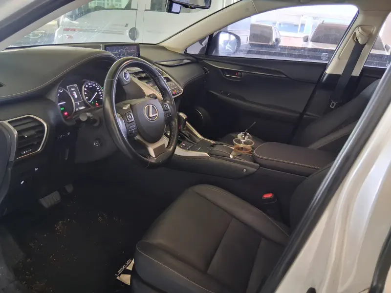 Lexus NX300h