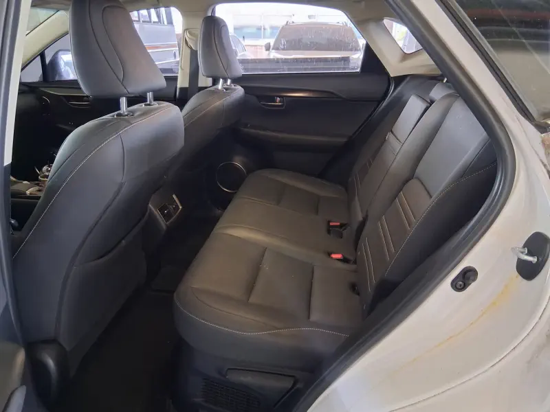 Lexus NX300h