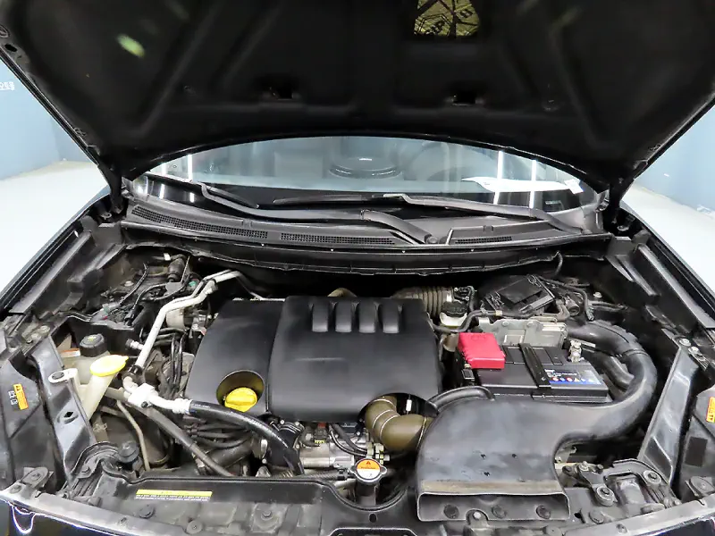 Renault QM5