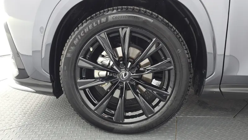 Lexus NX450h+