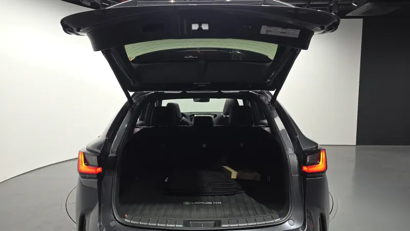 Lexus NX450h+