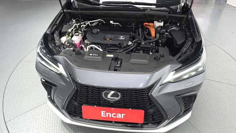 Lexus NX450h+