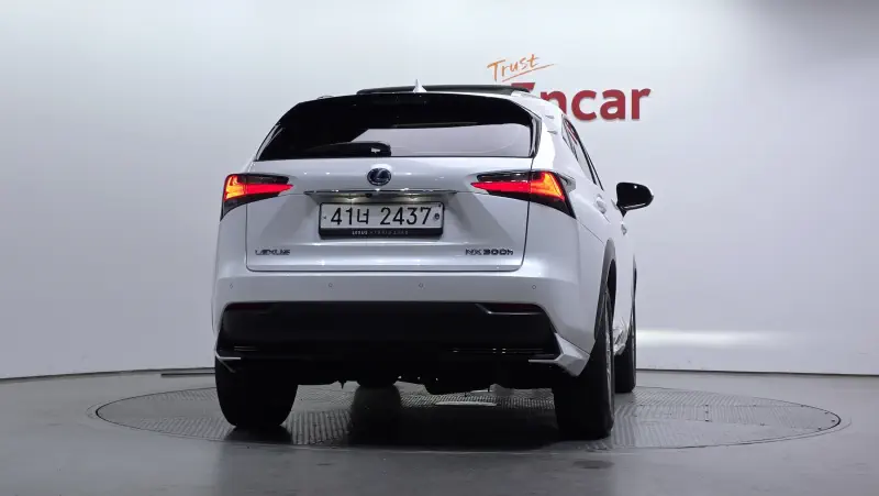 Lexus NX300h
