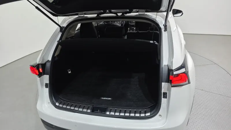 Lexus NX300h