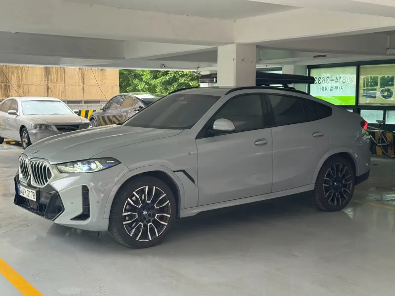 BMW X6
