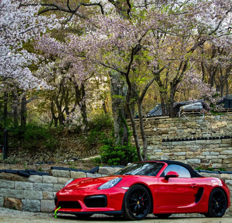 Porsche Boxster