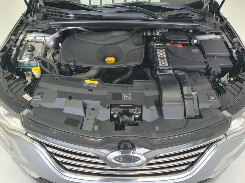 Renault SM6