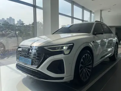Audi Q8 e-tron