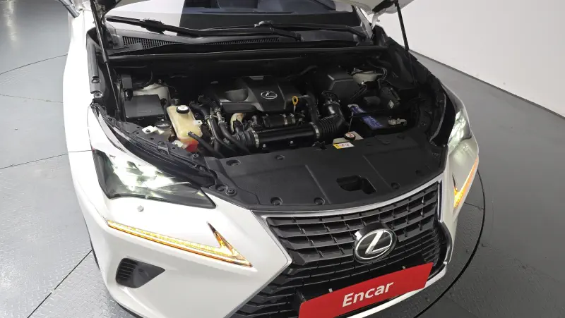 Lexus NX300