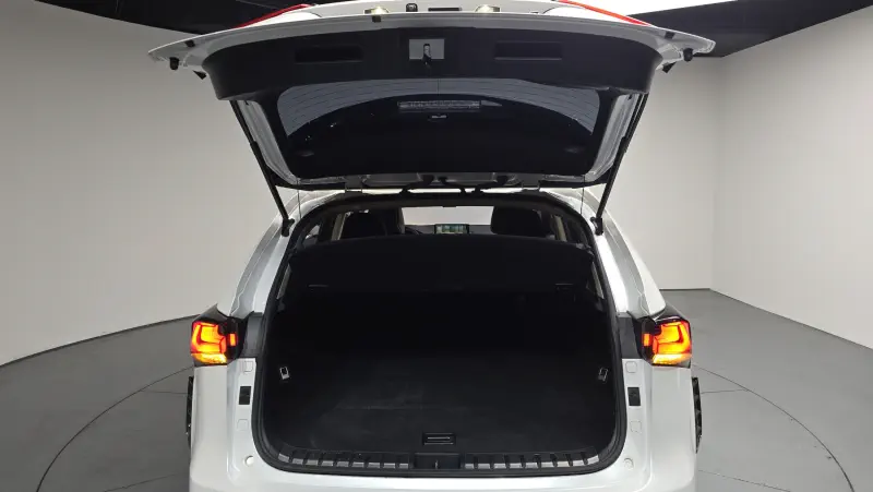 Lexus NX300