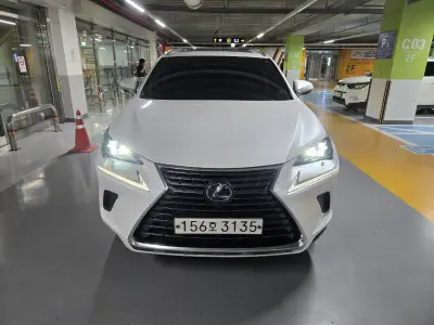 catalog-car-1