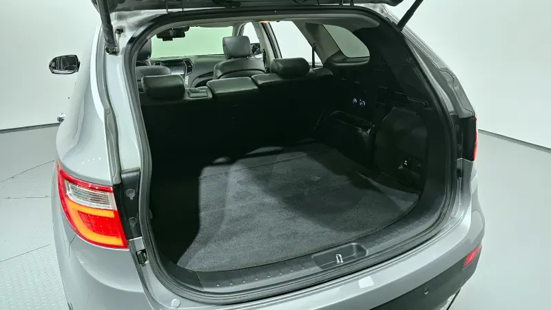 Hyundai Maxcruze