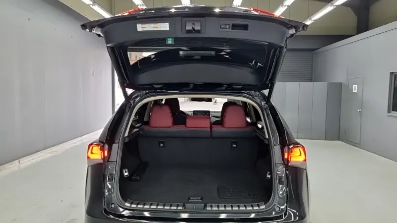 Lexus NX300h