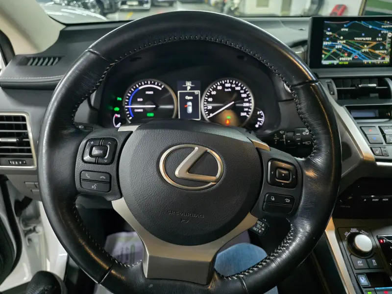 Lexus NX300h