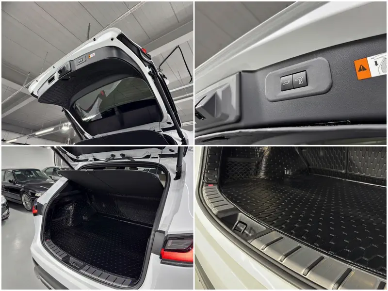 Lexus NX450h+