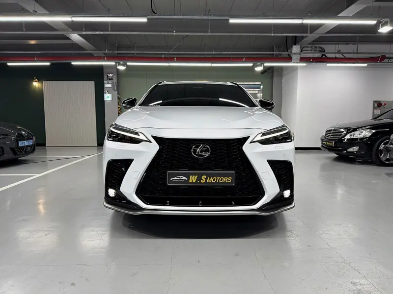 Lexus NX450h+