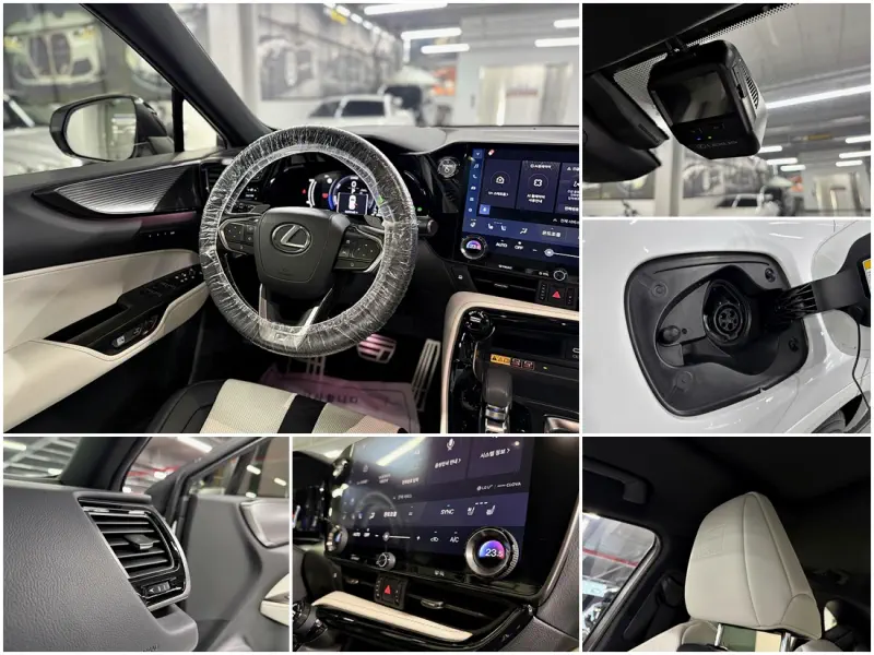 Lexus NX450h+