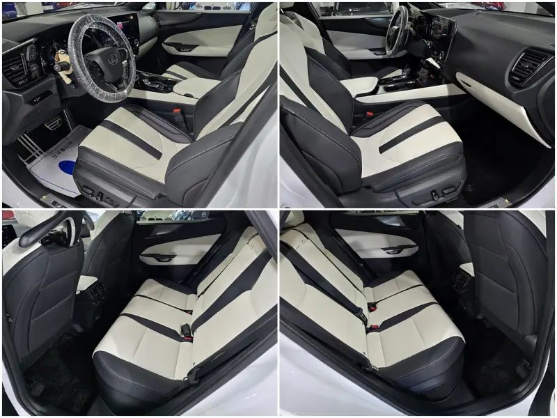 Lexus NX450h+