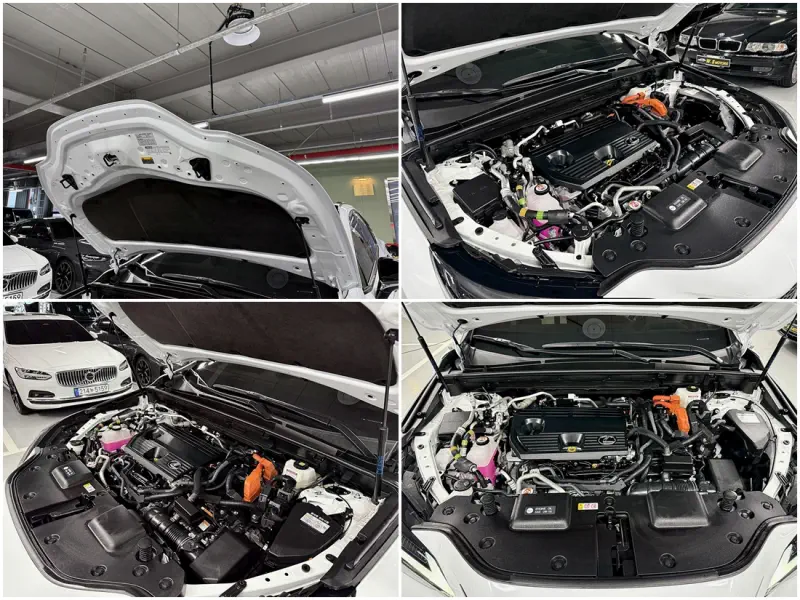 Lexus NX450h+