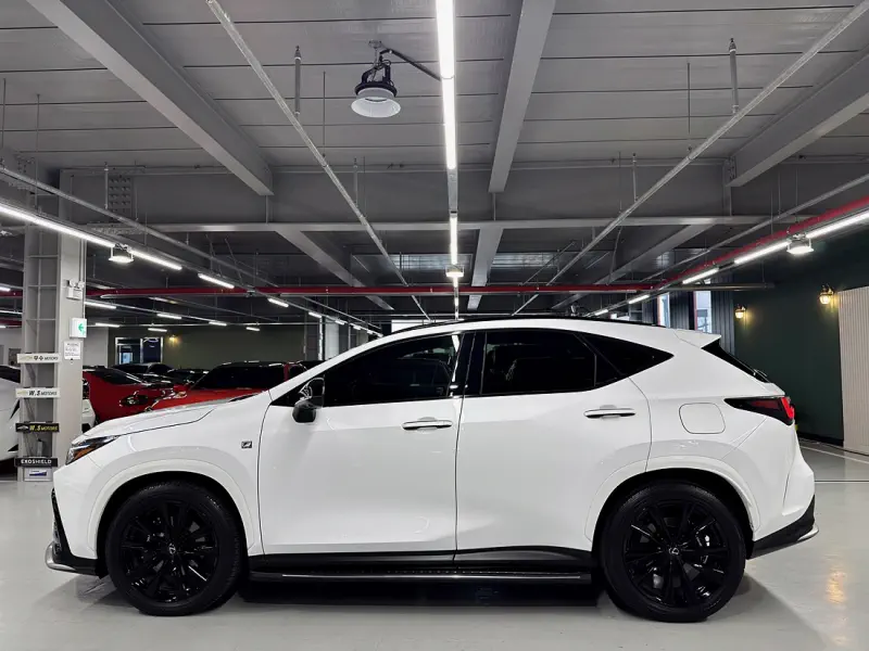 Lexus NX450h+