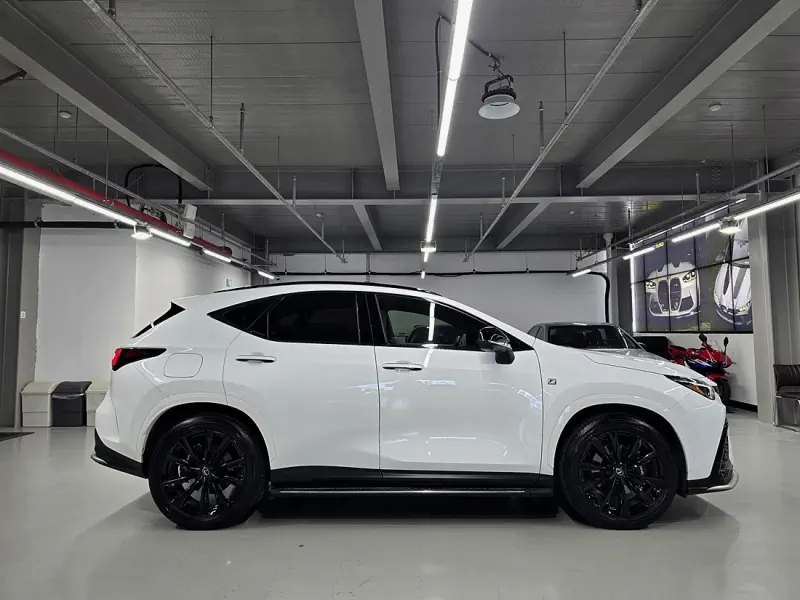 Lexus NX450h+