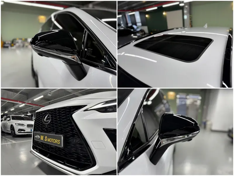 Lexus NX450h+