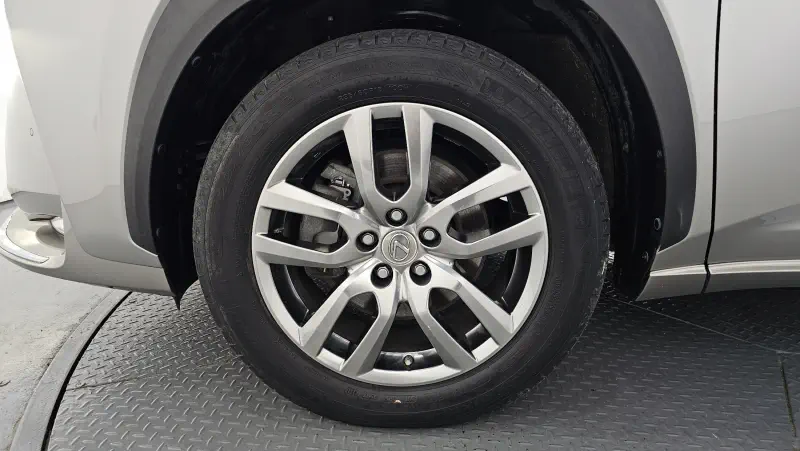 Lexus NX300h