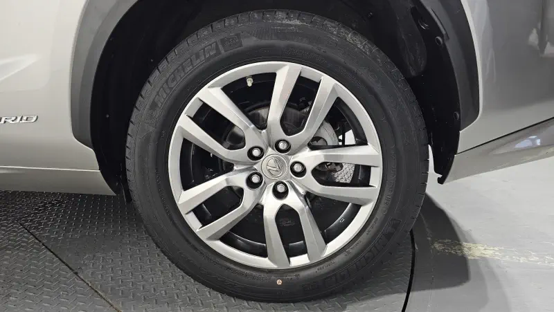 Lexus NX300h