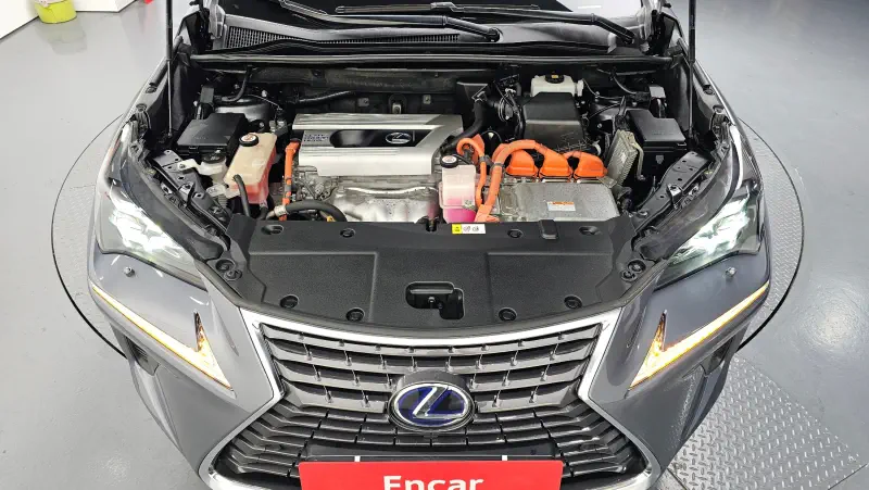 Lexus NX300h