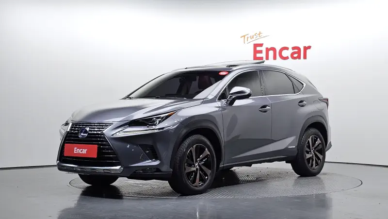 Lexus NX300h