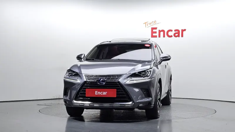 Lexus NX300h