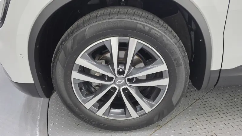 Renault QM6