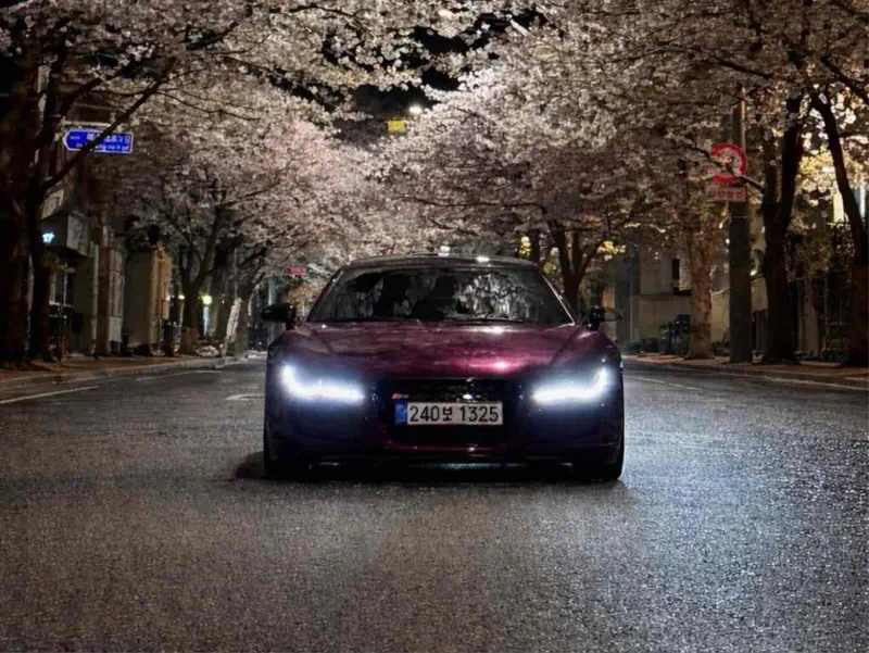 Audi R8