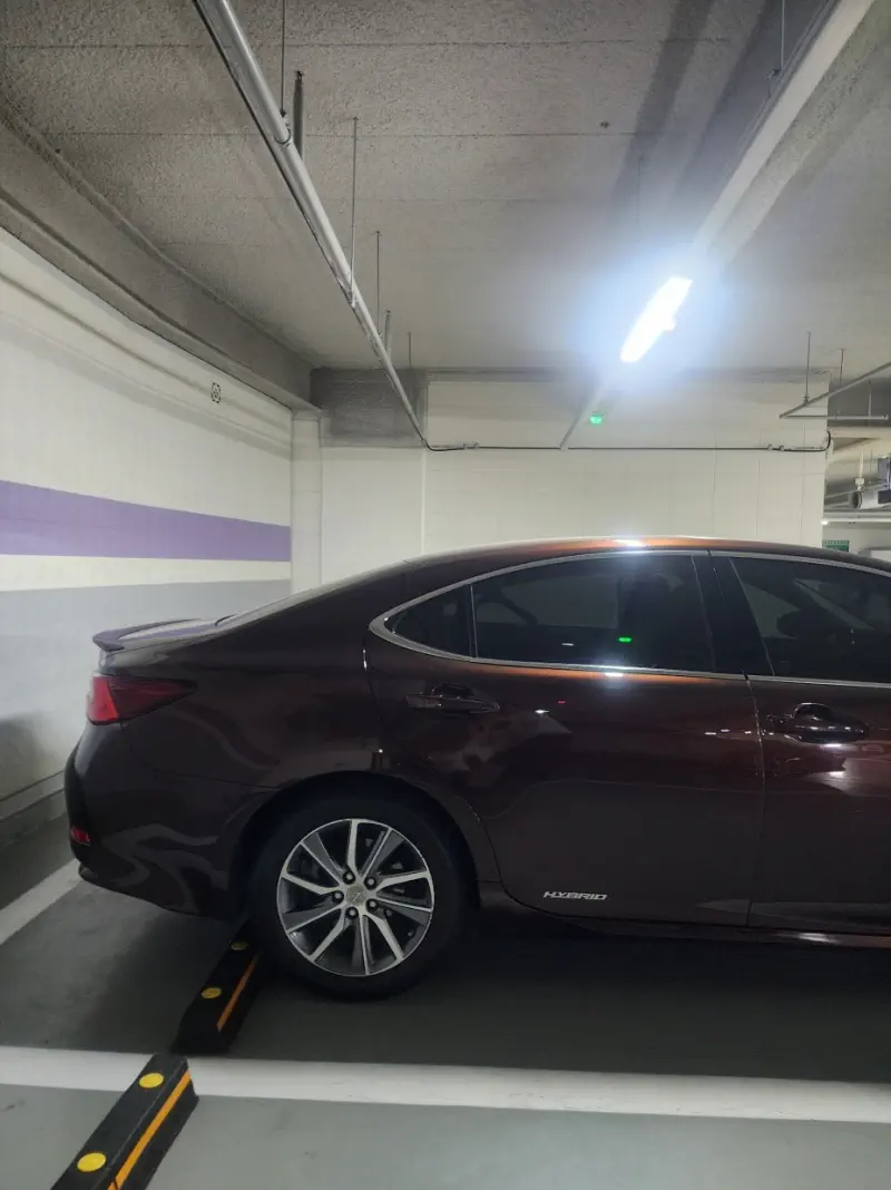 Lexus ES300h