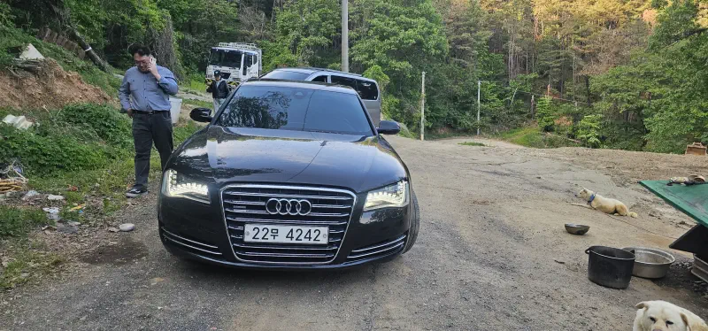 Audi A8