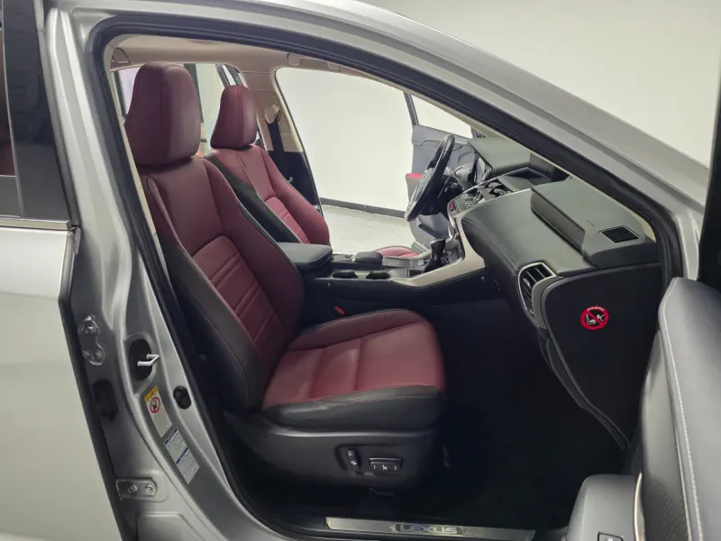 Lexus NX300h