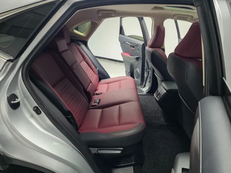 Lexus NX300h