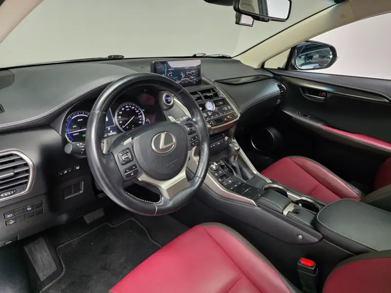 Lexus NX300h