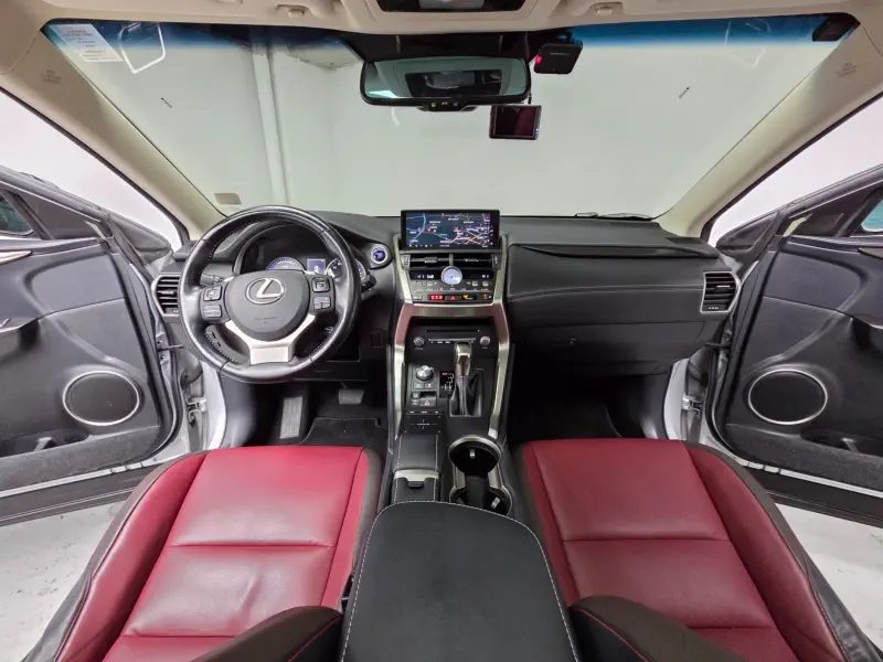 Lexus NX300h