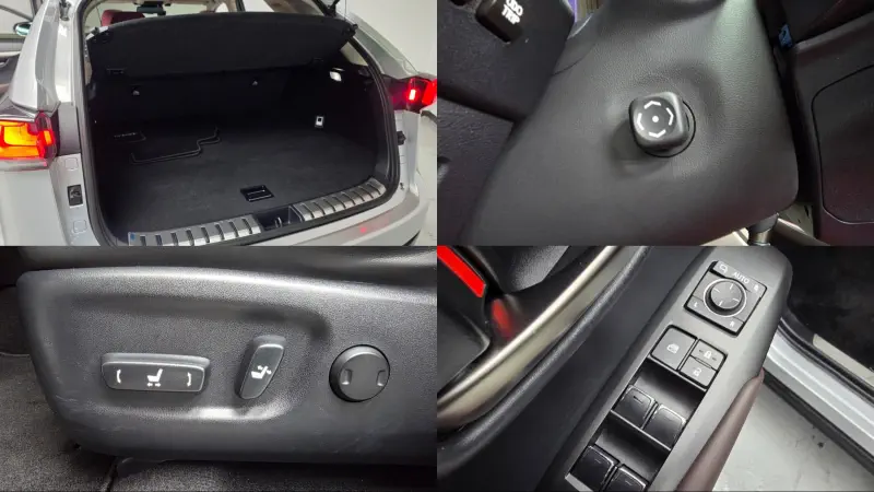 Lexus NX300h