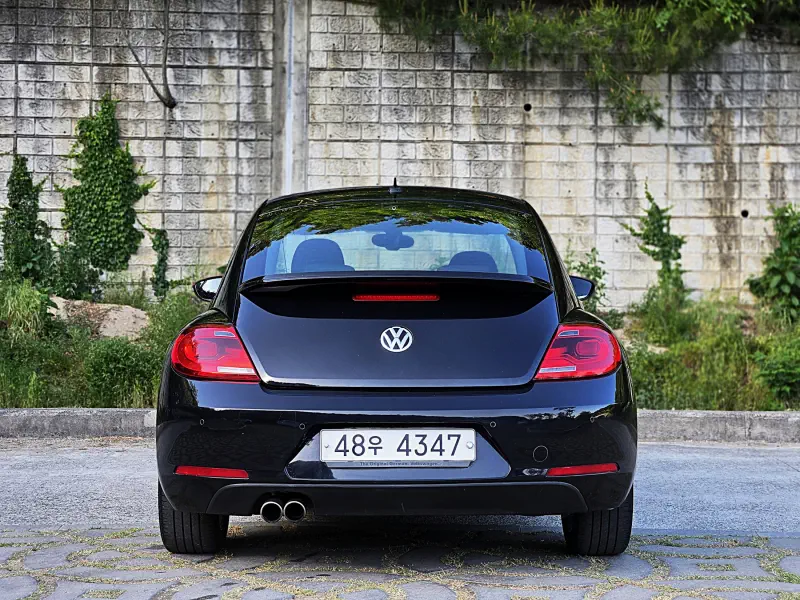 Volkswagen Beetle