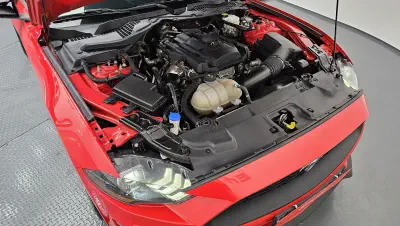 catalog-car-6