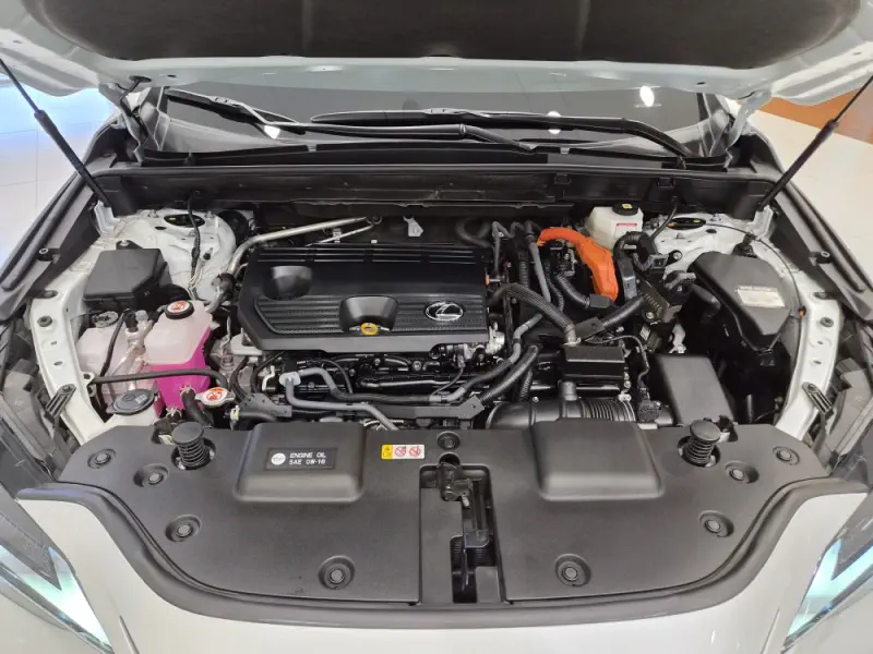 Lexus NX350h