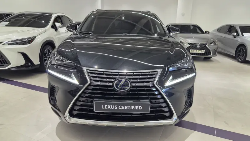 Lexus NX300h
