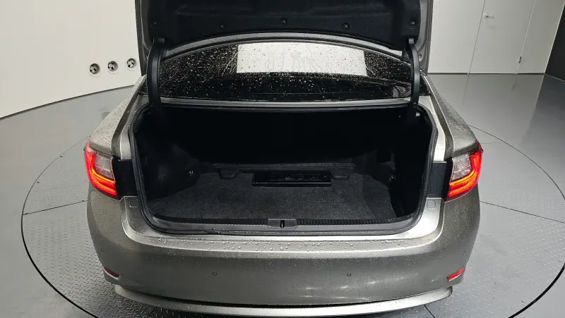 Lexus ES300h