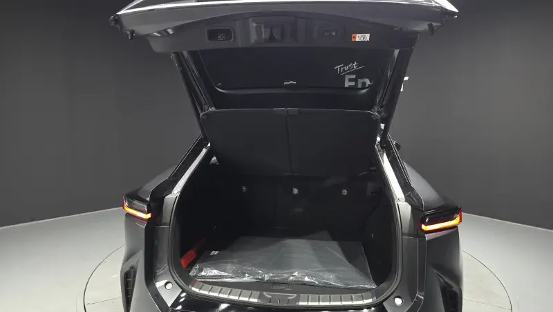 Lexus RZ450e