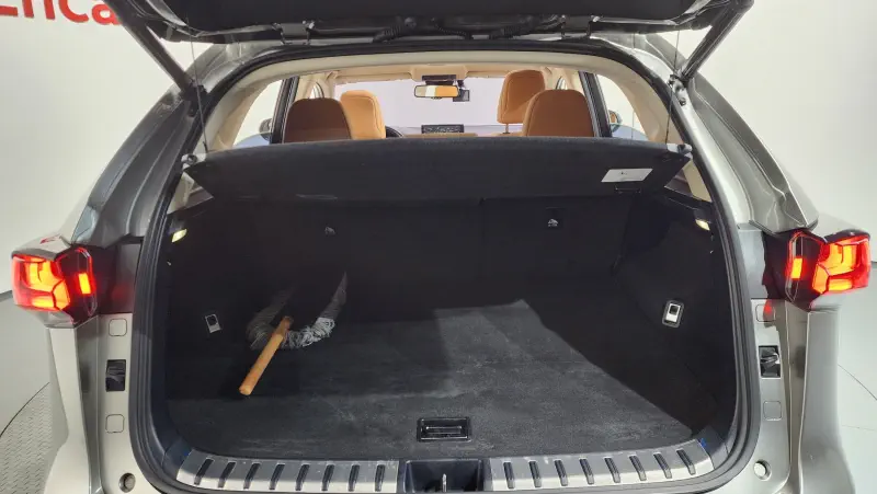 Lexus NX300h