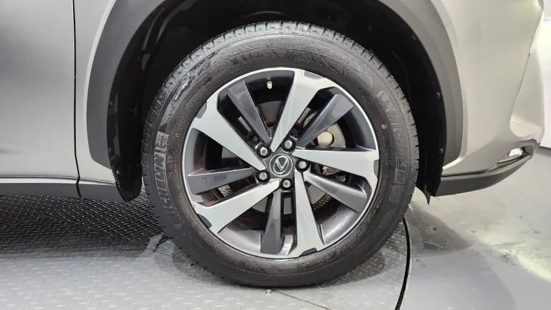 Lexus NX300h