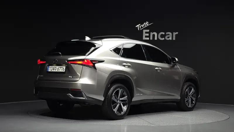Lexus NX300h