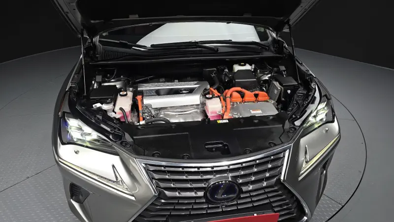 Lexus NX300h
